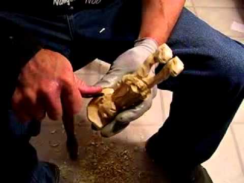 Carving a Cowboy Part 10